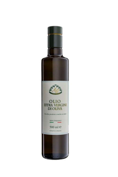 evo-100-italiano